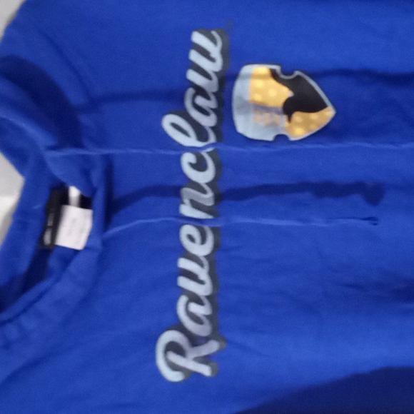 EUC RAVENCLAW HOODIE LARGE - Picture 2 of 4